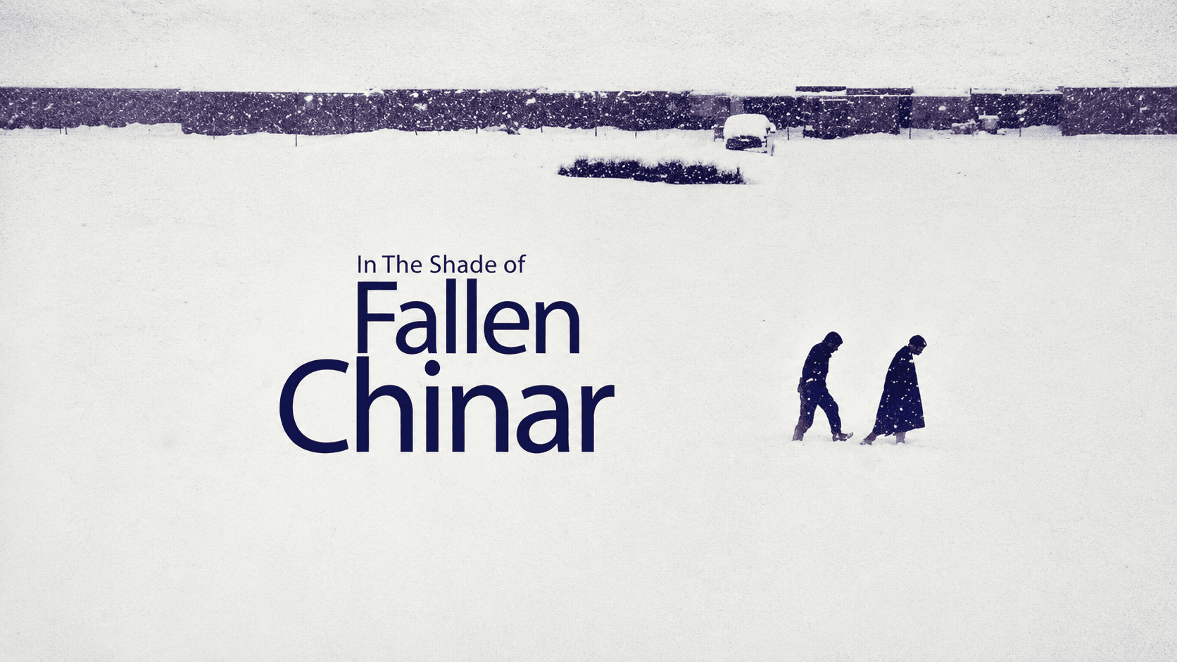 In the Shade of Fallen Chinar